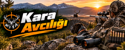 Kara Avcılığı